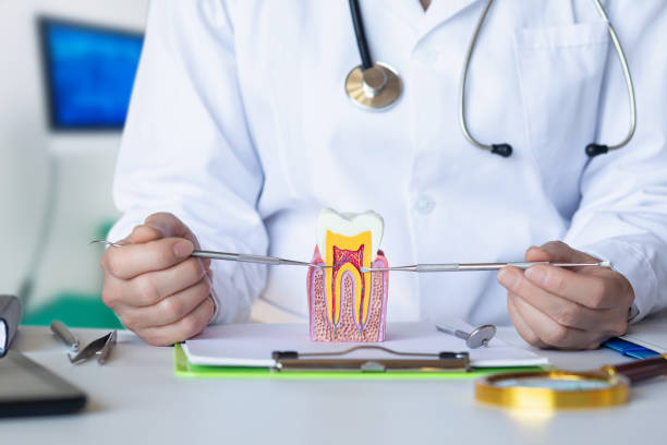 Best Broken Tooth Emergency  in Homewood, AL